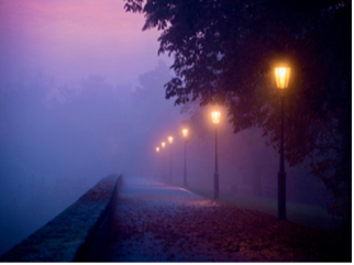 finding light in the fog